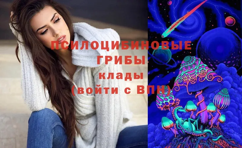 где можно купить   Волжск  Галлюциногенные грибы Psilocybe 